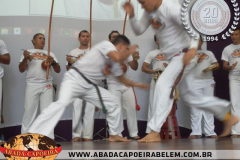 festival-2014-048