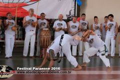 201612-festival-paraesnse011